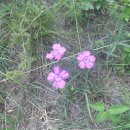 낙동강생태문화탐방로 이미지