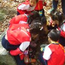 시흥5동 어린이집 이미지