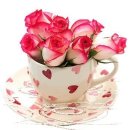 벌교초장집 이미지