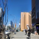 렉스 관광 호텔 이미지