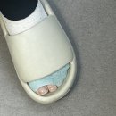 배안곡 이미지