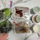 10딸라족발 이미지