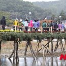 횡성한우축제장(섬강둔치) 이미지