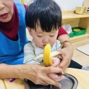 바나나 요거트 퐁듀 ~~ 🍌🍌🍡🍡 이미지
