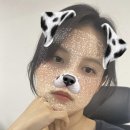 이부리조아