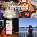 소나무 전경 | 강원도 강릉 여행 코스 아르떼뮤지엄부터 경포호 맛집까지 강원생활도민증 사용방법