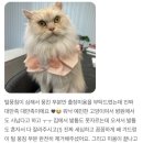 골골탬버린클럽