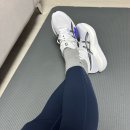 알펜플래그쉽 | 아식스 매직스피드5 신상 런닝화 국내 출시전 신주쿠 알펜도쿄에서 면세로 구매 후기(착샷O)