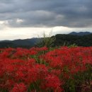 가곡마당 이미지