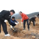 감나무골 이미지