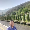 안양수리산한증원 이미지