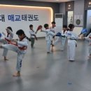 용인대 매교태권도장 이미지