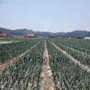 영천1공인중개사사무소 이미지