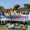 사남 이미지