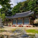 지성(知性)의 흔적을 따라: 청안(淸安), 조선 사마소와 동헌이 품은 600년 역사의 무게