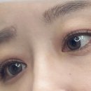 이레안경원 | 하파크리스틴 시스루크리스틴 애쉬브라운 후기 -자연스런 렌즈추천 !