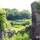 제주와요 이미지