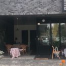 호노호노