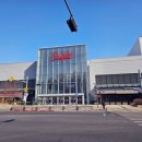 킹덤키즈-B 이미지