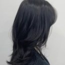 보라헤어샵 네이버블로그