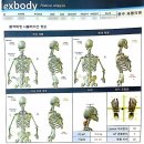 21세기 충주제통의원 이미지