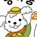 멍다움 이미지