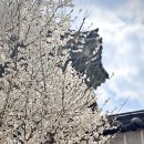 국민낙곱새 성산점 | 함께하는 일기 8 / 임신 28주-30주 / 28주 입체초음파 후기(우리 딸은 얼굴을 보여줬을까? 안보여줬을까?)