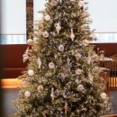 청담-146 이미지