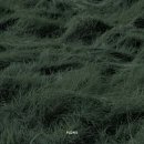 현우목장 | 다녀왔수다🌱 (2)