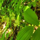 소계경로당 이미지