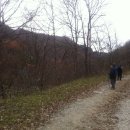 운장산자연휴양림 이미지