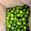 현철농장 이미지