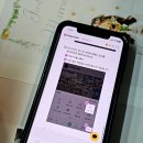 퍼니스토리 | 인스타 좋아요 늘리기 무료 인스타 품앗이 무료 방법 퍼니클릭에서 좋아요 작업한 후기