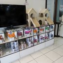 바나나 동물병원 이미지