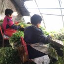 용성환경 이미지