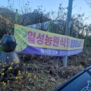 일성농장 이미지