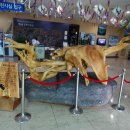 해남공룡박물관 이미지