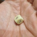 미가참치단계점 이미지