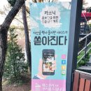 카프닉 | 천안 유량동 카페 카프닉 실후기(내돈내산)