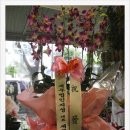 세무법인지성 네이버블로그