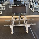 뉴텍 토쳐 레그익스텐션, 닐링레그컬, 펙덱리어 / 뉴텍 스쿼트렉, 암컬렉, 올림픽 인클라인벤치프레스 판매합니다. 이미지