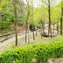 추곡초병설유치원 이미지