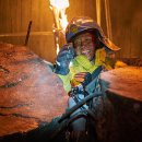 수홍상사 이미지