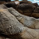 승봉도비치펜션민박 이미지