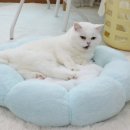 (주)헵스 이미지