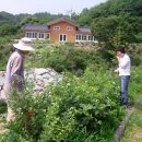 자원농장 이미지