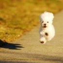 (주)왕왕 이미지