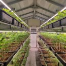 삼단지농장 이미지