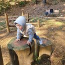 꿈땅어린이집 | 숲어린이집 다니는 도원