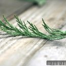 산내음물내음황토펜션 네이버블로그